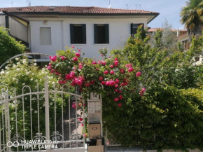 Casa Bianca Mestre